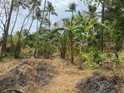Image of 11761 Sq.ft Residential Plot / Land for sale in Ollur, Thrissur for Rs. 16500000