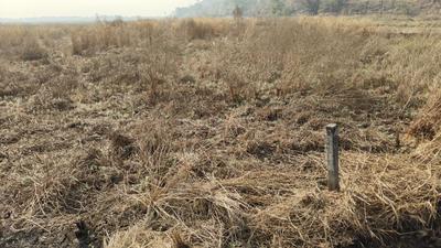 Image of 1089 Sq.ft Residential Plot / Land for sale in Mahamumbai Plots In Vindhane, Vindhane, Navi Mumbai for Rs. 500000