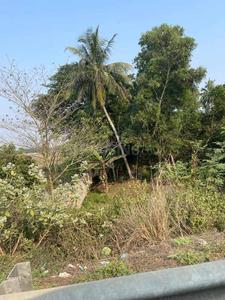 Image of 6000 Sq.ft Residential Plot / Land for sale in Pamsara, Bhubaneswar for Rs. 7000000