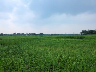 Wander Valley Plot View 1
