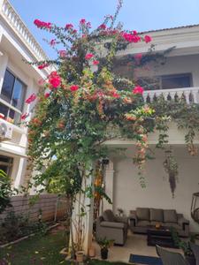 Image of 4800 Sq.ft 4 BHK Villa for rent in Hiranandani Villas, Chikkasanne, Bengaluru for Rs. 200000