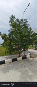 Image of 600 Sq.ft Residential Plot / Land for sale in Anupuram, Chennai for Rs. 150000