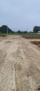 Image of 1000 Sq.ft Residential Plot / Land for sale in Baragaon, Varanasi for Rs. 1499000