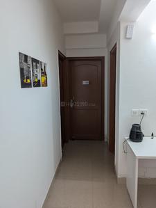 Hall Image of Lavender Nest Girls Pg in Noida Extension, Greater Noida