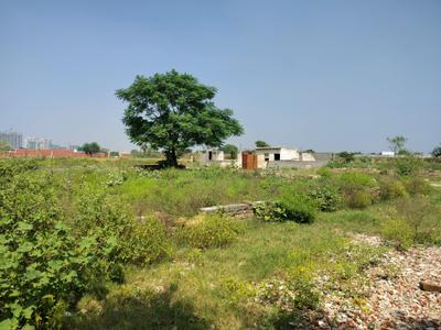 Image of 900 Sq.ft Residential Plot / Land for sale in Bhanauta, Greater Noida for Rs. 3502000
