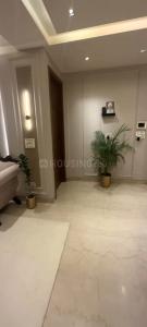 Image of 1800 Sq.ft 3 BHK Builder Floor for sale in Punjabi Bagh, New Delhi for Rs. 35000000