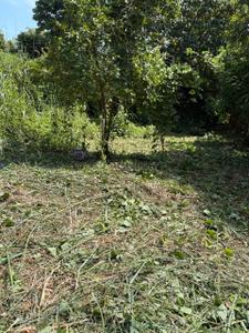 Image of 4356 Sq.ft Residential Plot / Land for sale in Velappaya, Killannur, Thrissur for Rs. 5750000