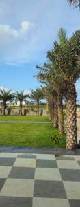 Image of 154 Sq.ft Residential Plot / Land for sale in Shadnagar, Ranga Reddy for Rs. 3400000