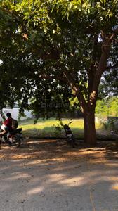 Image of 670 Sq.ft Residential Plot / Land for sale in Palam Vihar, Gurgaon for Rs. 180000000
