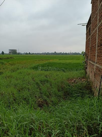 Khagaul Main Image 1