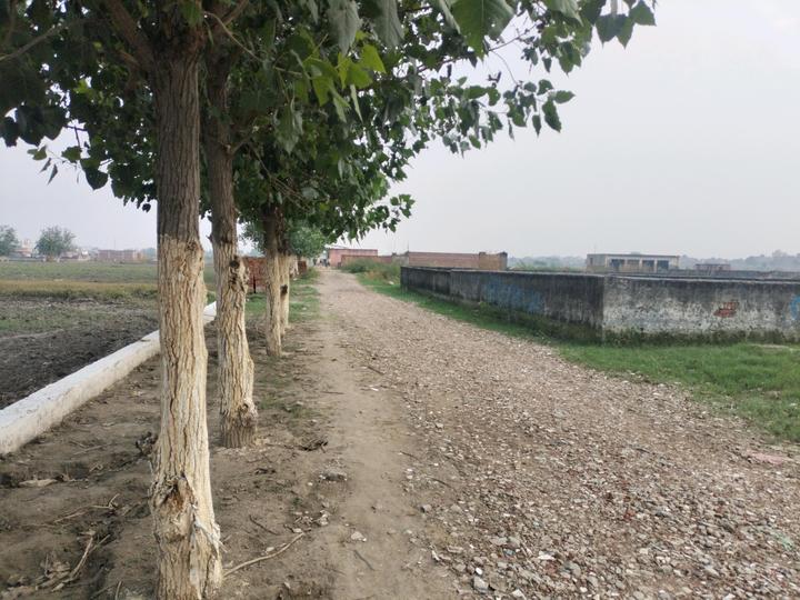 Kakrala Main Image 1
