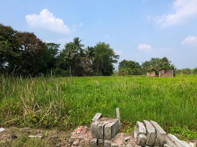 Image of 1440 Sq.ft Residential Plot / Land for sale in Natures Paradise, Joka, Kolkata for Rs. 399998