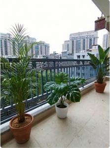 Balcony Image of 710 Sq.ft 1 BHK Builder Floor for rent in Silverglades The Ivy, Sector 43 Gurgaon for Rs. 41000