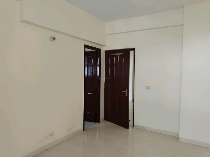 Tulip Orange Main Image 1