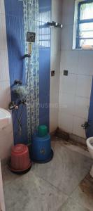Bathroom Image of 800 Sq.ft 2 BHK Apartment / Flat for rent in Naktala Kolkata for Rs. 13500