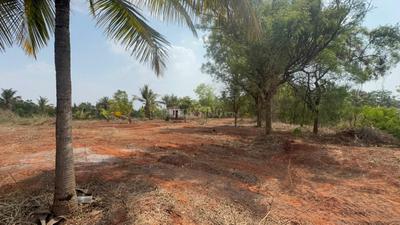 Image of 78408 Sq.ft Residential Plot / Land for sale in Nagenahalli, Tumakuru, Bengaluru for Rs. 45000000