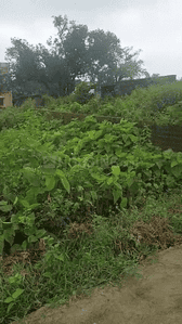 Image of 4356 Sq.ft Residential Plot / Land for sale in Namkum, Ranchi for Rs. 9000000