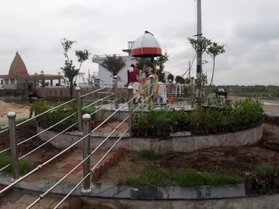 Plot View
