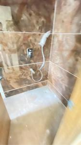 Bathroom Image of 1100 Sq.ft 2 BHK Apartment / Flat for rent in Sadashiv Nagar Belagavi for Rs. 25000