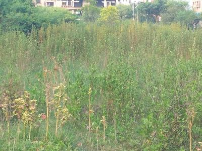 Image of 4320 Sq.ft Residential Plot / Land for sale in New Town, Kolkata for Rs. 28000000