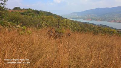 Image of 1000 Sq.ft Residential Plot / Land for sale in Bhor, Pune for Rs. 3658400