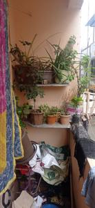Balcony Image of 400 Sq.ft 1 RK Apartment / Flat for sale in Katargam Surat for Rs. 600000