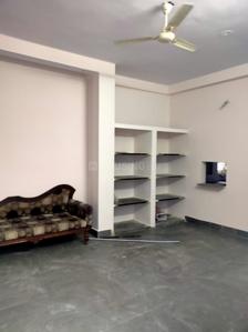 Hall Image of 700 Sq.ft 2 BHK Apartment / Flat for rent in Govindpura Bhopal for Rs. 11500