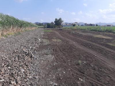 Lokmanya Colony Plot View 3