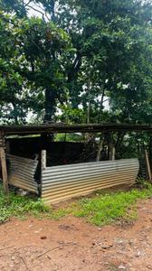 Image of 5000 Sq.ft Residential Plot / Land for sale in Kapasda, Durg for Rs. 2875000