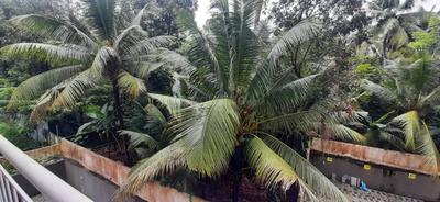 Balcony Image of 1360 Sq.ft 2 BHK Apartment / Flat for sale in Earthspace Transit, Nedumbassery Aluva for Rs. 6800000