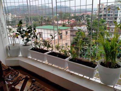 Balcony Image of 1447 Sq.ft 3 BHK Apartment / Flat for sale in Barbari Village Guwahati for Rs. 12500000