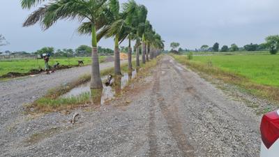 Image of 9000 Sq.ft Residential Plot / Land for sale in Datrenga, Raipur for Rs. 3990000