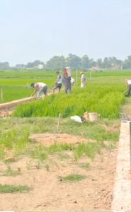 Image of 1000 Sq.ft Residential Plot / Land for sale in Kushmi, Gorakhpur for Rs. 1400000
