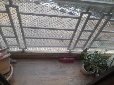 Balcony Image of 800 Sq.ft 1 BHK Apartment / Flat for rent in Thane West Thane for Rs. 16000