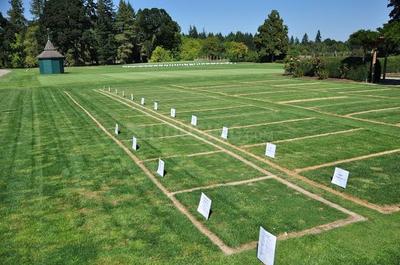 Corlim sub divided  plots Plot View 2