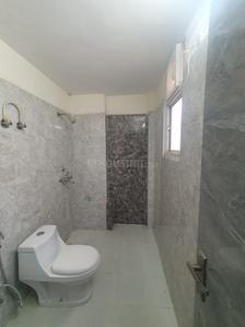 Bathroom Image of 855 Sq.ft 2 BHK Apartment / Flat for sale in Eros Sampoornam 3, Noida Extension Greater Noida for Rs. 7800000