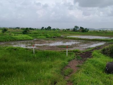 Image of 1089 Sq.ft Residential Plot / Land for sale in Sathe Pride City, Pen, Raigad for Rs. 350000