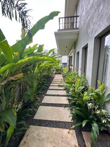 Image of 3200 Sq.ft 4 BHK Villa for sale in Morjim, Goa for Rs. 82500000