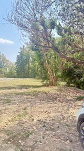 Image of 1800 Sq.ft Residential Plot / Land for sale in Thano, Dehradun for Rs. 5200000