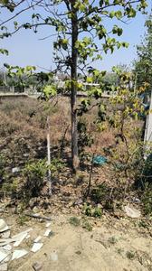Image of 250 Sq.ft Residential Plot / Land for sale in Platinum Township, Horawala, Dehradun for Rs. 8750000