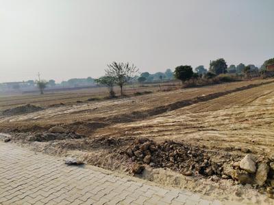 Image of 1764 Sq.ft Residential Plot / Land for sale in Bhanauta, Greater Noida for Rs. 5000000