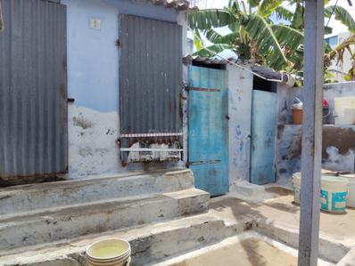 Balcony Image of 2400 Sq.ft 3 BHK Independent House for sale in Velampalayam Tiruppur for Rs. 11500000