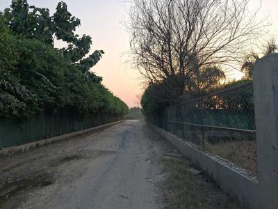 Image of 9072 Sq.ft Residential Plot / Land for sale in Dkrrish Green Beauty Farms, Nagli Bahrampur, Noida for Rs. 13500000