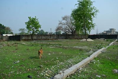 Image of 720 Sq.ft Residential Plot / Land for sale in Vrindavan, Shiv Mandir Rd, Siliguri for Rs. 749000