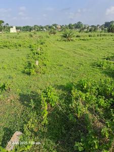 Image of 3000 Sq.ft Residential Plot / Land for sale in Gamharia, Jamshedpur for Rs. 2600000