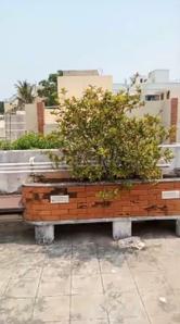 Image of 2662 Sq.ft 4 BHK Independent House for sale in Thiruvanmiyur, Chennai for Rs. 45000000