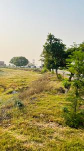 Image of 238 Sq.ft Residential Plot / Land for sale in Altus Muirwoods Ecocity Extension 1, New Chandigarh, Chandigarh for Rs. 20000000
