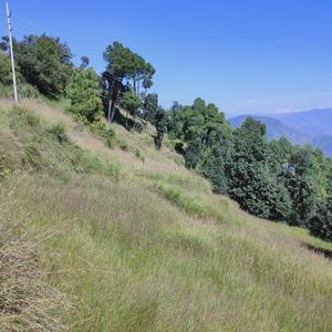 Kandaghat Plot View 3