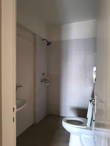Common Bathroom Image of 2400 Sq.ft 4 BHK Apartment / Flat for sale in Tulip Purple, Sector 69 Gurgaon for Rs. 27600000