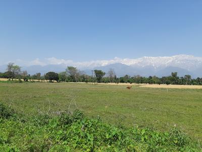 Image of 3011 Sq.ft 4 BHK Builder Floor for sale in Sidhpur, Kangra for Rs. 9900005